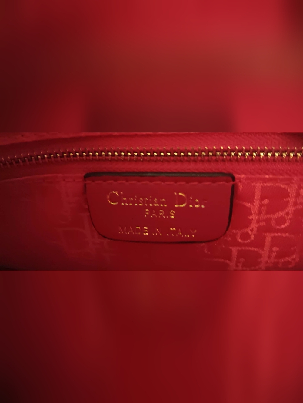 Christian Dior EUC 30 Montaigne Phoenix Calfskin Jaquard Bag- Origional Dustbag - Picture 2 of 16